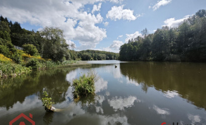 Купить участок, Мончаки, Центральная, 39, 24.92 соток. Фото 3