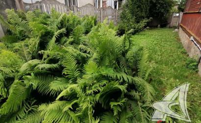 Купить дом, Брест, Граевка, 4.98 соток. Фото 28