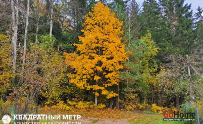 Купить дом в деревне, СЕКУНДА, 6.75 соток. Фото 12