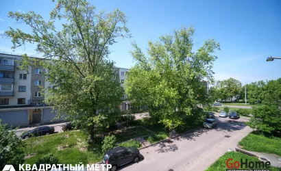  46 м2, Минск(Неманская ул., 31)