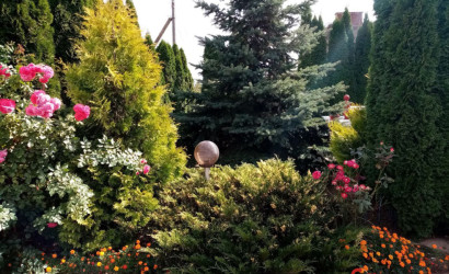 Купить дом, Барановичи, Лирическая, 14, 16.24 соток. Фото 11