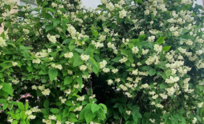 Купить 1-комнатную квартиру, Городок, Комсомольская. Фото 7