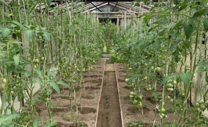 Купить дом в деревне, СЯБРЫ-83, 12.3 соток. Фото 16