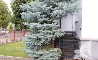 Купить дом, Брест, Центр, 5.78 соток. Фото 33