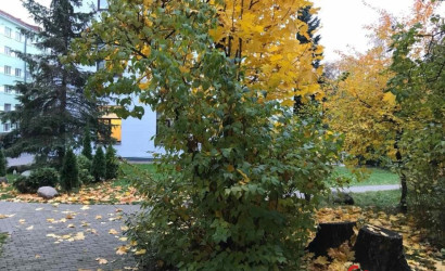 Купить 2-комнатную квартиру, Минск, Коласа ул., 10 (Советский район). Фото 31