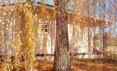 Купить коттедж, Бычково, 25 соток. Фото 10