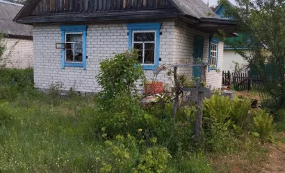  1-этаж.(55 м2), Микашевичи(Альбатрос, 1)