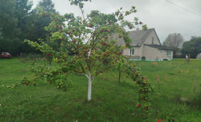 Купить дом, Вороново, Октябрьская ул., 58/А, 16.8 соток. Фото 24