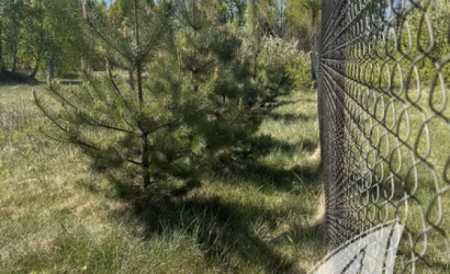 Купить дом в деревне, Черняны, Чернянский с/с, 25 соток. Фото 19