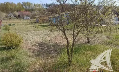  Брест(Плоска)