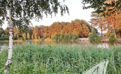 Купить дом, Домачево, Домачевский с/с, 23.58 соток. Фото 10