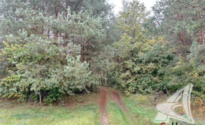 Купить дом, Франополь, Радваничский с/с, 18 соток. Фото 26