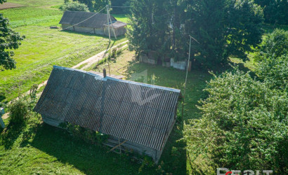  Крапивники