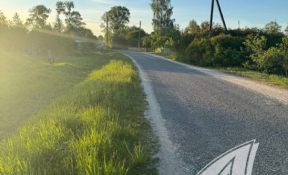 Купить дом, Дворцы, Речицкий с/с, 25 соток. Фото 26