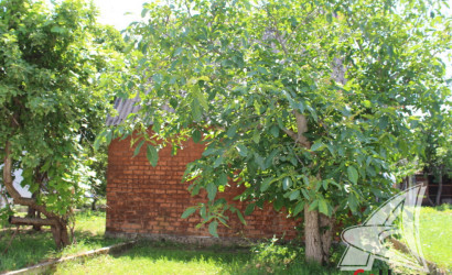 Купить дачу, Брест, Тельминский с/с, 5 соток. Фото 11