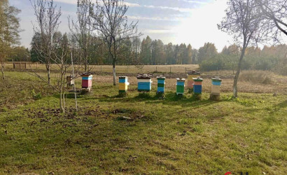 Купить дом, Большие Косичи, 25 соток. Фото 11