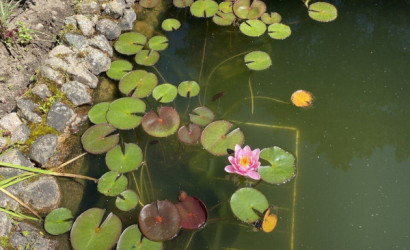 Купить дом в деревне, Ива-1988, 7 соток. Фото 25