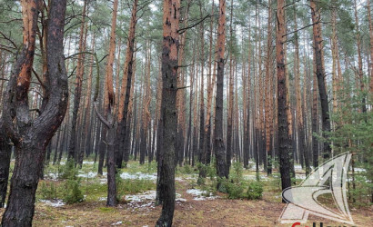 Купить дом, Брест, Чернавчицкий с/с, 12.13 соток. Фото 30