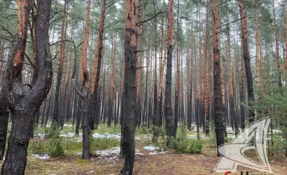  2-этаж.(103.3 м2), Брест(Чернавчицкий с/с)