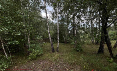 Купить участок, Новые Лыщицы, пер. Тихий, 23.5 соток. Фото 2