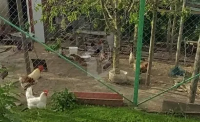  2-этаж.(120 м2), Жилевщина