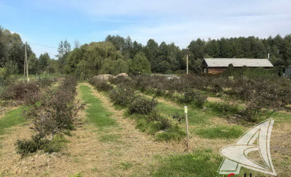 Купить дом, Прилуки Малые, Залесский с/с, 25 соток. Фото 11