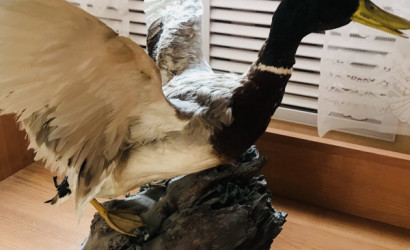 Купить дом, Витебск, Новосёлов, 7 соток. Фото 19