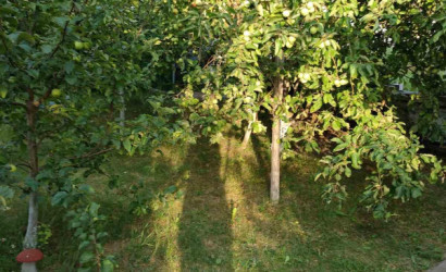 Купить дом, Ивушка-91, 5 соток. Фото 4