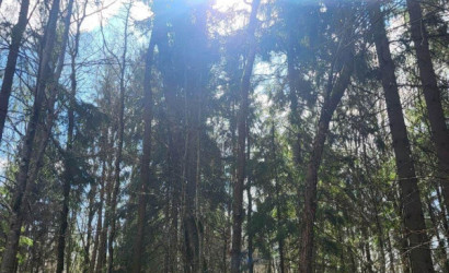 Купить дом в деревне, ЧАРОВНИЦА, 6.95 соток. Фото 7