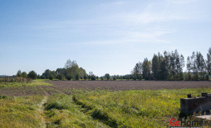 Продажа помещения, Бакиново, Новая ул., 1, 515.9 кв.м.. Фото 13