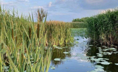 Купить дом, Ахремовцы, Новая, 1, 21.3 соток. Фото 15