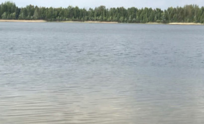 Купить дом, Мотоль, Юбилейная, 20.86 соток. Фото 19
