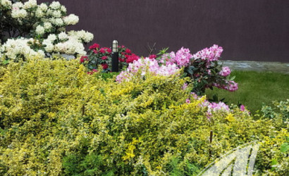 Купить дом, Брест, Аэропорт ст., 12 соток. Фото 35