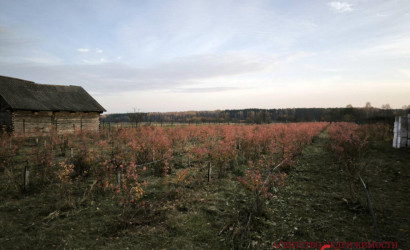 Купить коттедж, Первомайская, Октябрьская, 25 соток. Фото 4