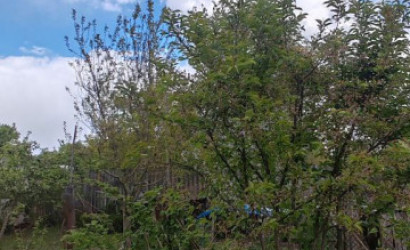 Купить дом, Уть, Победы, 25 соток. Фото 11