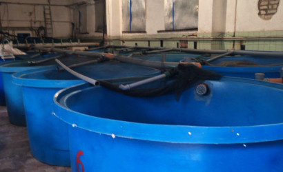 Продажа помещения, Переносины,  200 кв.м.. Фото 5