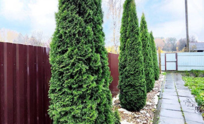 Купить дом, Пильница, 17.41 соток. Фото 3