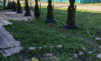 Купить дом, Радичево, Центральная , 13 соток. Фото 15