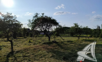 Купить дом в деревне, Чемери 1, Речицкий с/с, 24.62 соток. Фото 11