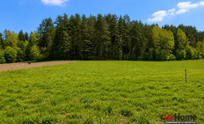 Купить участок, Вяча, ул. Лесная, д. 12, 20 соток. Фото 5