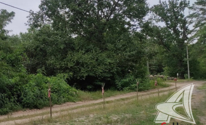 Купить участок, Домачево, Домачевский с/с, 25 соток. Фото 5