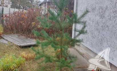 Купить дачу, Брест, Мухавецкий с/с, 5 соток. Фото 13