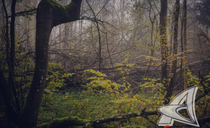 Купить дом, Бобинка, Верховичский с/с, 25 соток. Фото 29