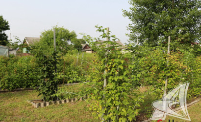 Купить дом, Леплевка, Домачевский с/с, 25 соток. Фото 36