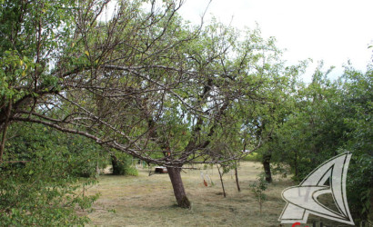 Купить дом, Замошаны, Ракитницкий с/с, 15.82 соток. Фото 33