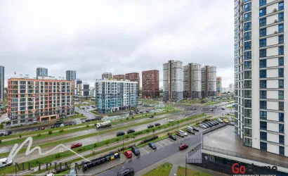  46.7 м2, Минск(Мира просп., 1)