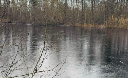 Купить дом в деревне, Родник-95, 10 соток. Фото 13