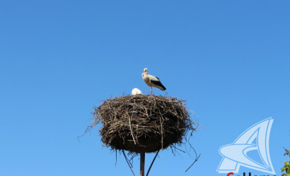 Купить дом, Грушевка, Видомлянский с/с, 24.87 соток. Фото 38