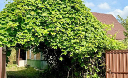 Купить дом, Горовые, Набережная, 47.9 соток. Фото 19