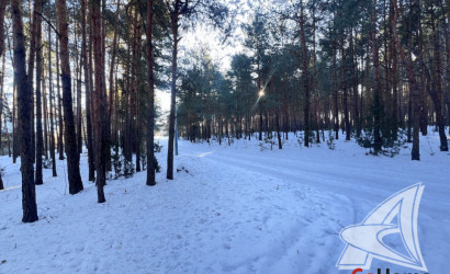 Купить дом, Гули, Мухавецкий с/с, 24.29 соток. Фото 41